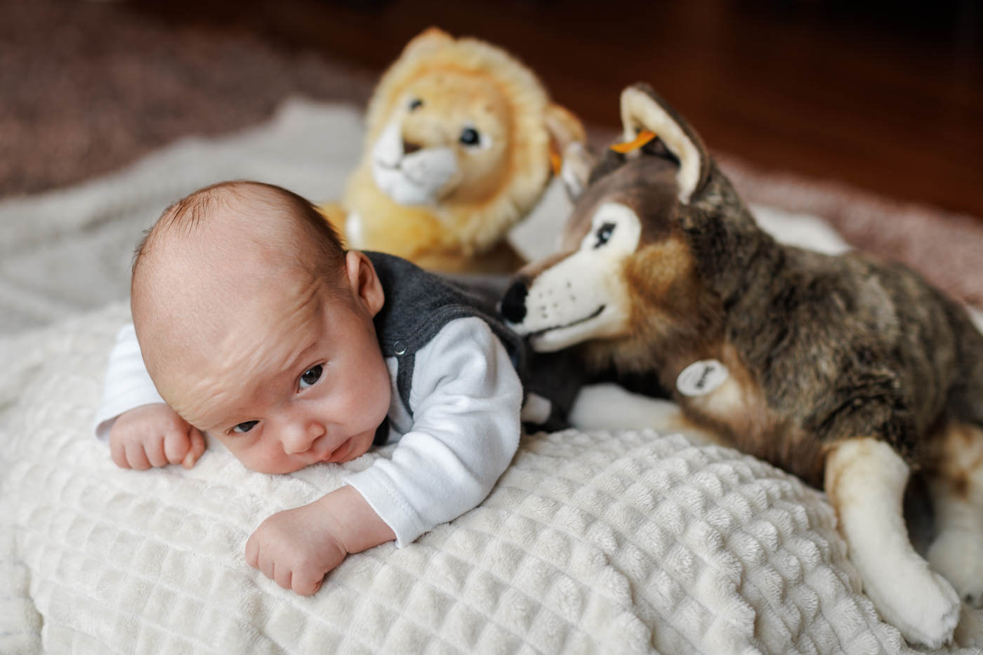Homestory Newbornshooting Babyfotos Babyfotografin zuhause Lengerich Tecklenburg Mettingen Ibbenbüren Osnabrück Münster Lotte Westerkappeln Laggenbeck